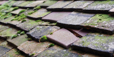 Tremorfa roof repair costs